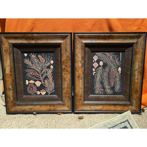 Set Of 2 Rustic Wood Framed Wall Art Pine Cone Foliage From Tweeds Colorado $360